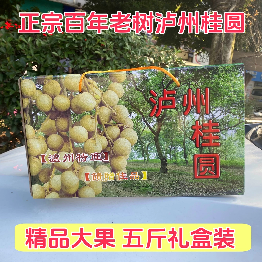 （精品大果礼盒装）泸州桂圆百年老树新鲜采摘晚熟龙眼当天发货