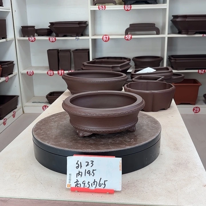 花盆紫砂祥云小圆