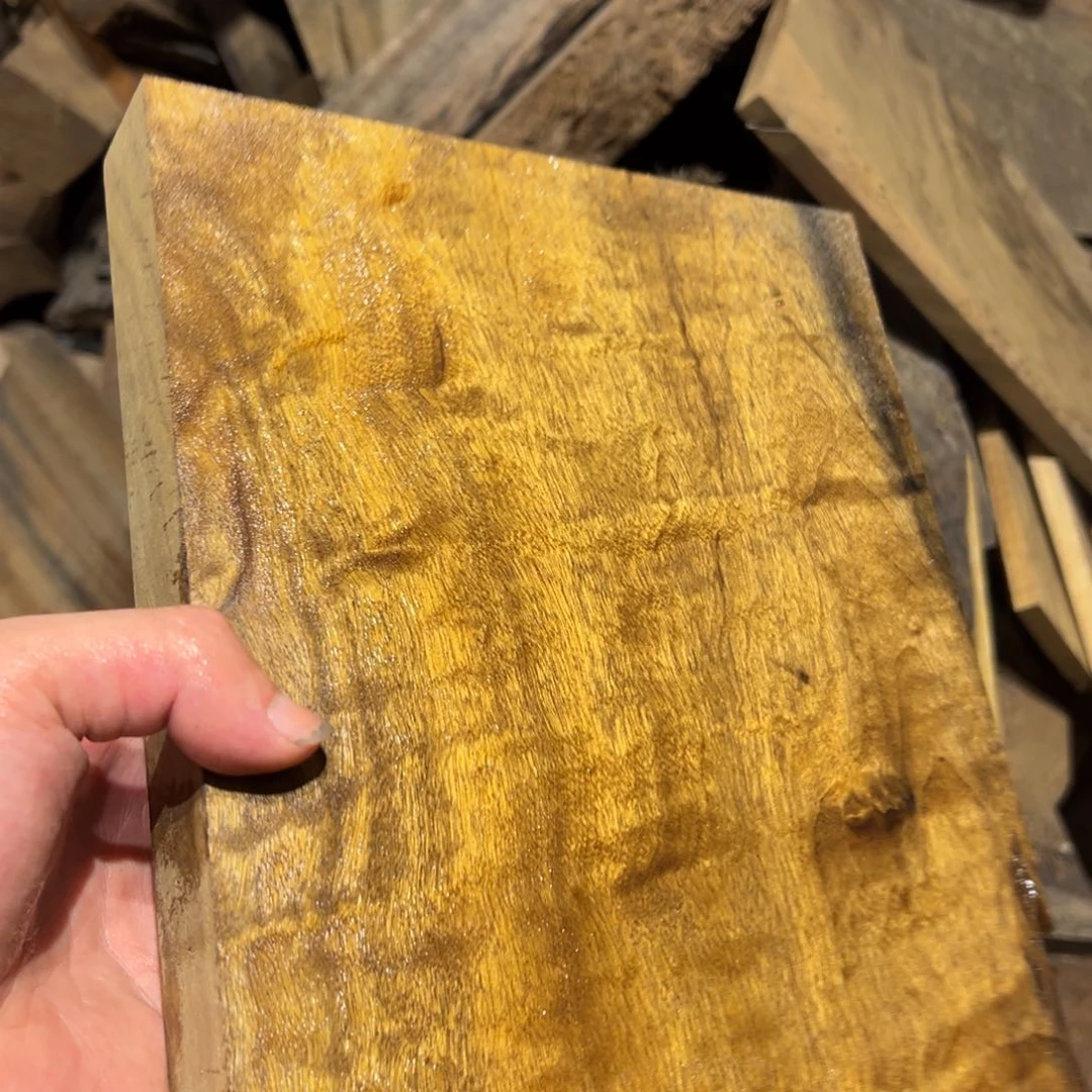林***果金丝楠金丝楠阴沉木原材料