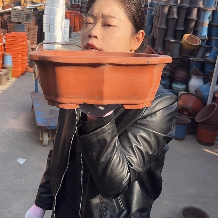 花盆花盆花盆花盆