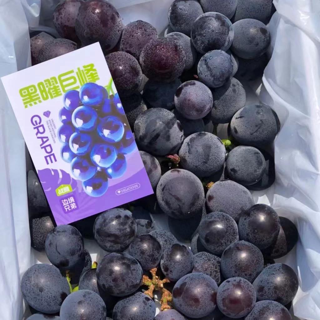 黑曜巨峰葡萄2.4斤礼盒装;果肉紧实饱满,香甜多汁,新鲜黑提葡萄北京市