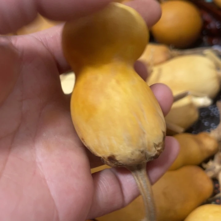 p****.葫芦葫哈哈哈哈哈哈