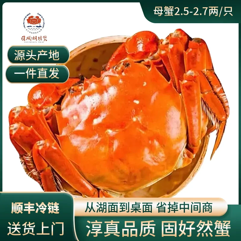 固城湖螃蟹【活蟹】江苏大闸蟹母蟹2.7两 8只+送2只装 现捞现发