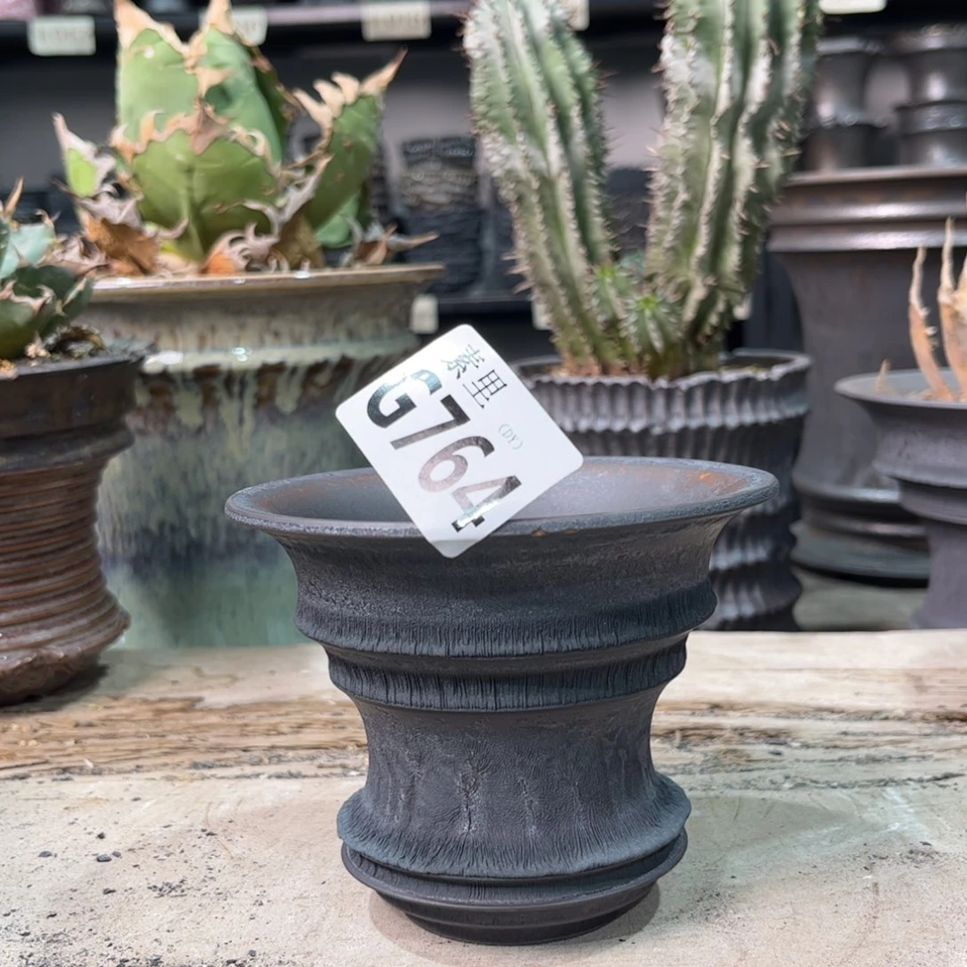 陶内口11.3高9瑕疵