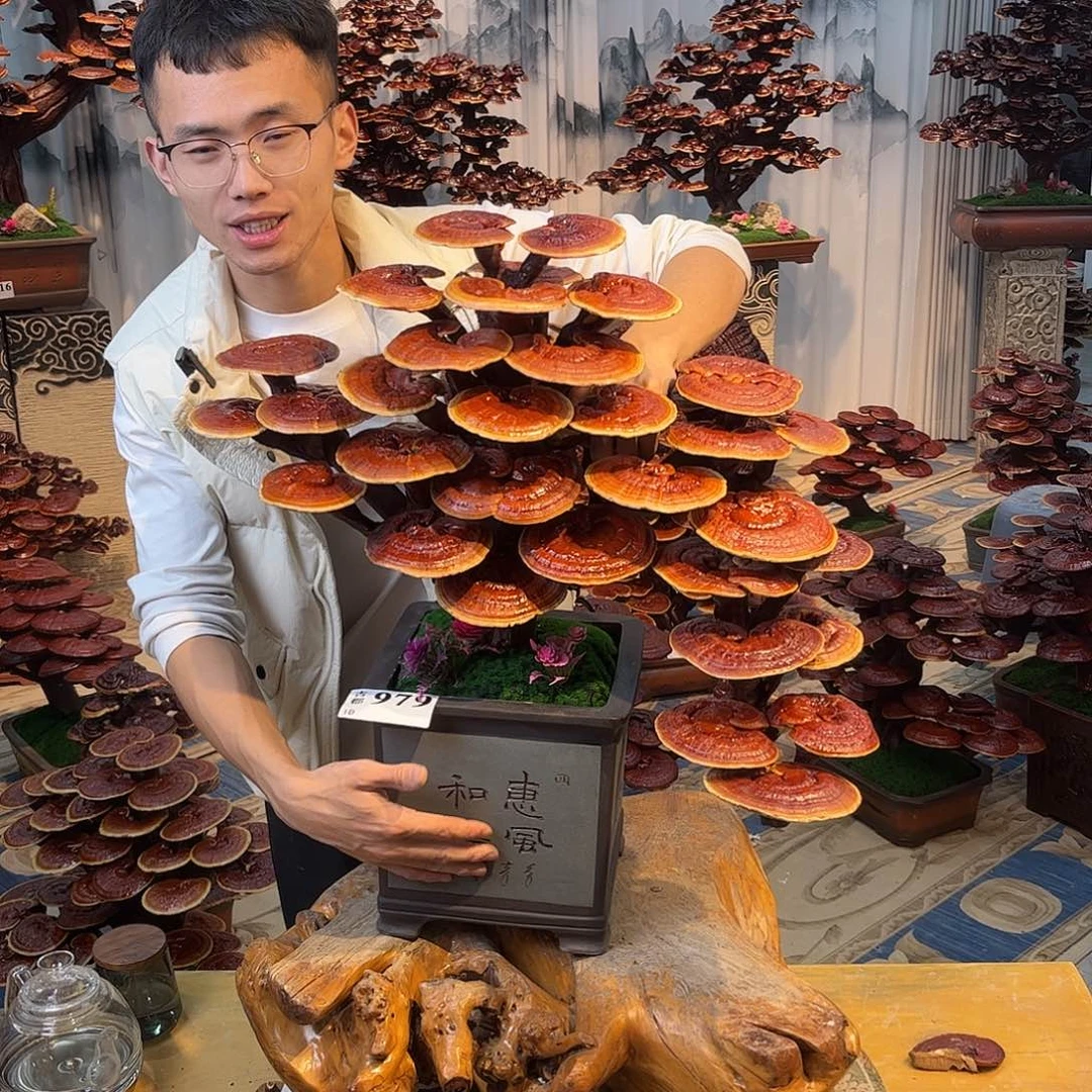 无花朵88888888888