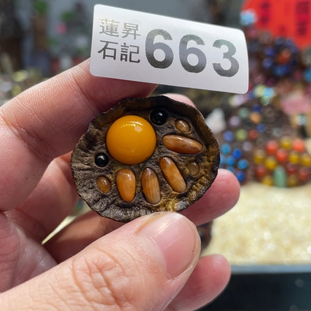 核桃木/黑胡桃（胡桃木）663