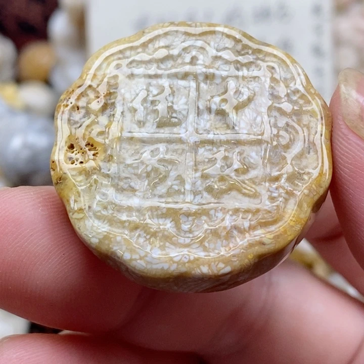 颈饰未镶嵌硅化珊瑚（珊瑚玉）有瑕 没打孔 小