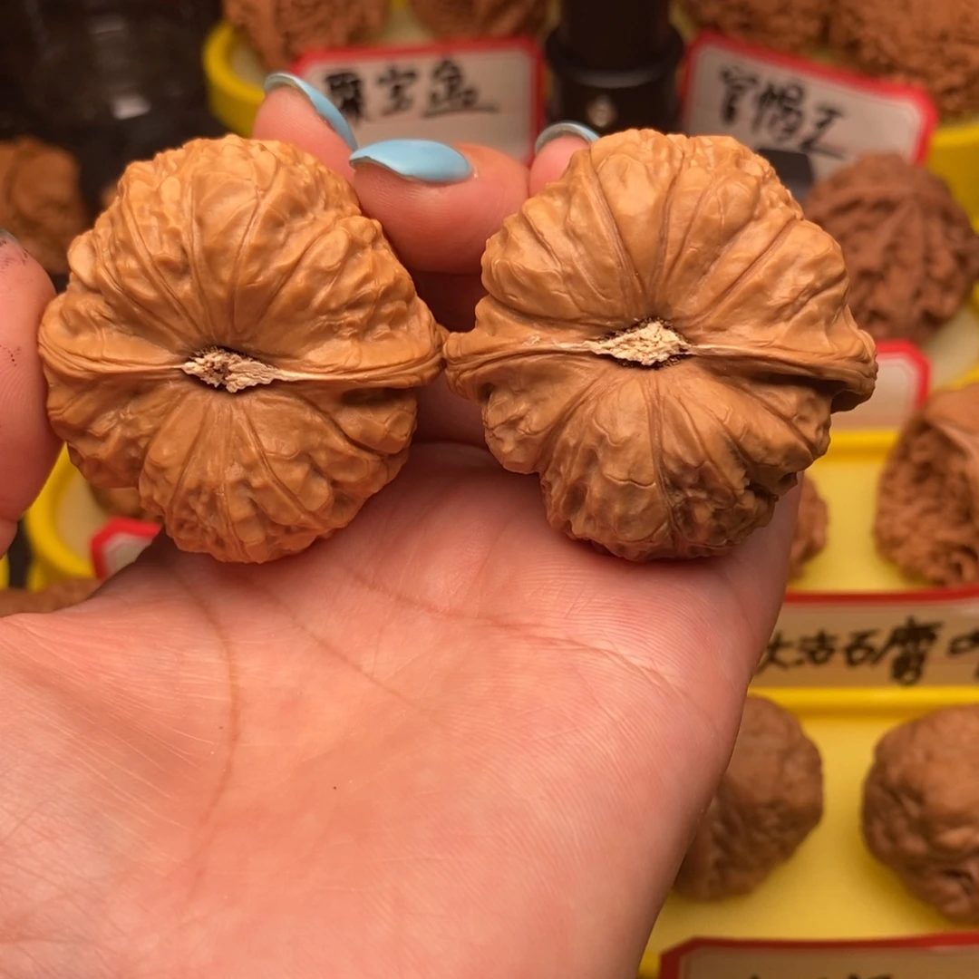 九***萬菩提籽类南瓜墩墩