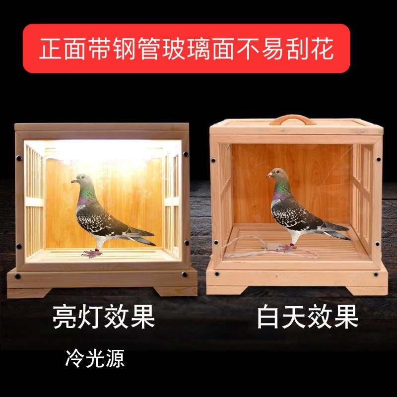 鸽子专用展示笼带照明功能实木多款尺寸适合直播展示成绩鸽血统鸽