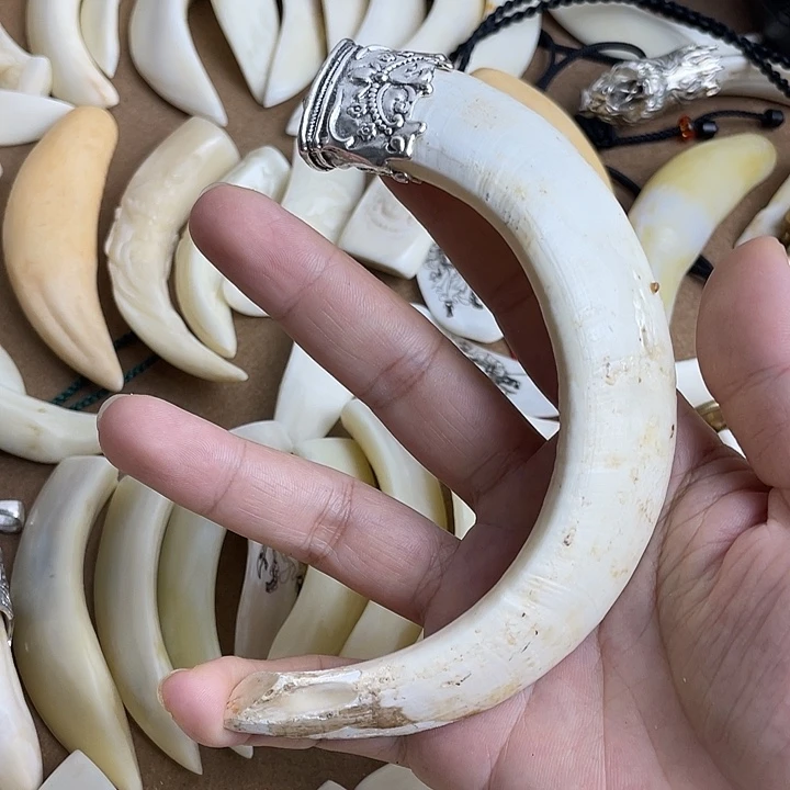 吊坠猪牙猪牙獠牙原牙