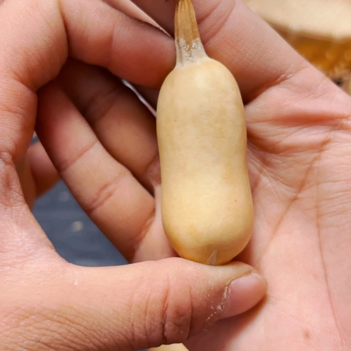 山*888888888888888888889