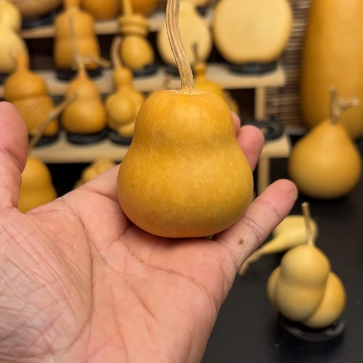 饭***r2565566665885569889