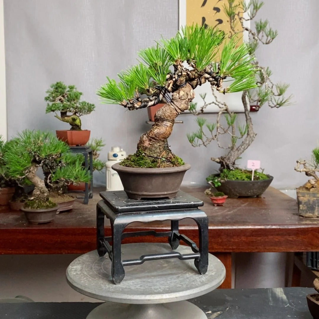 手工艺品琉璃用****1