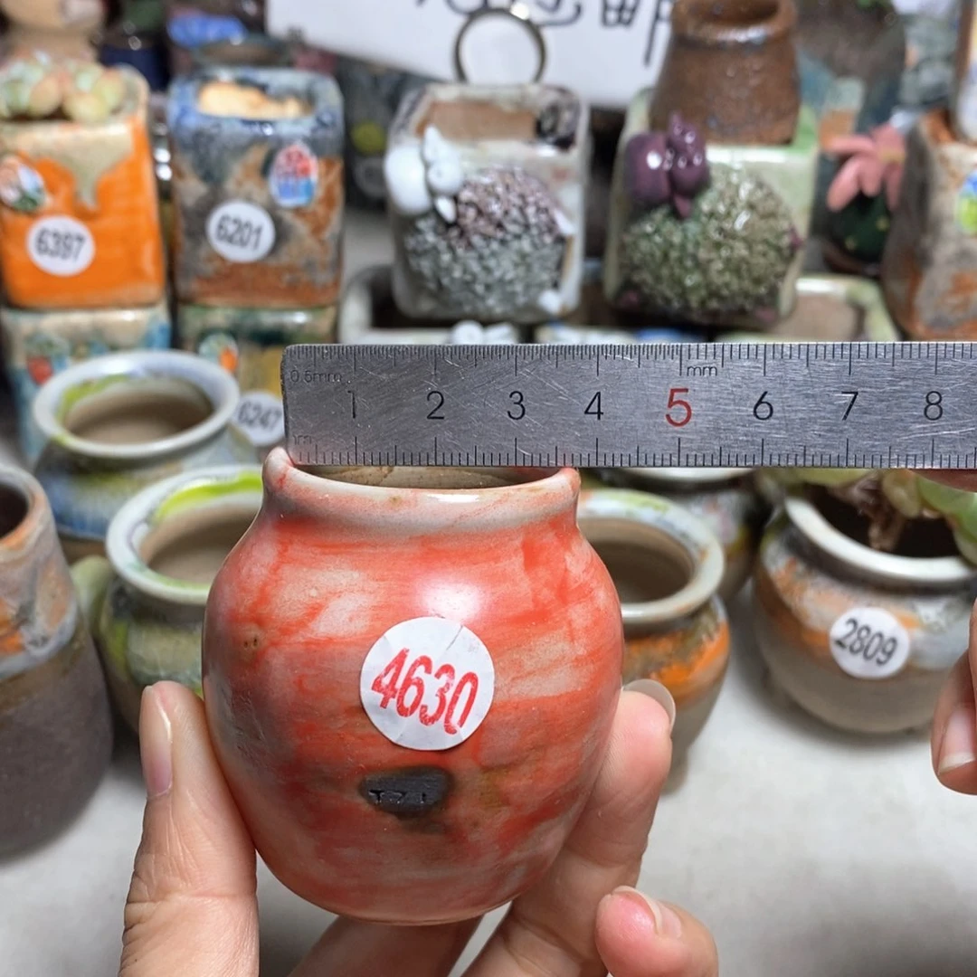 拍5送一个小礼物