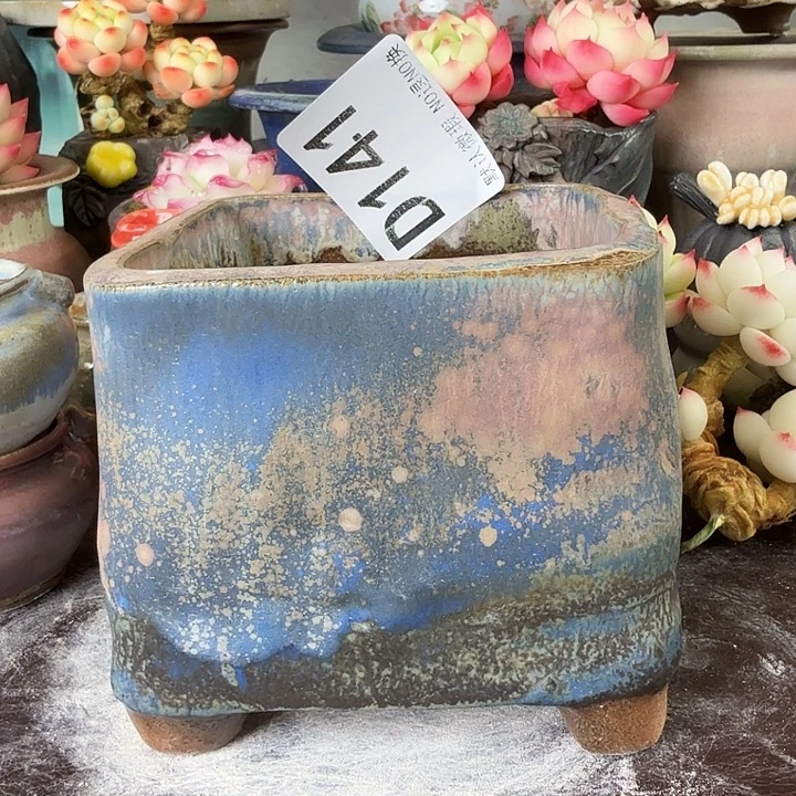 重庆小燕子欢迎大家141