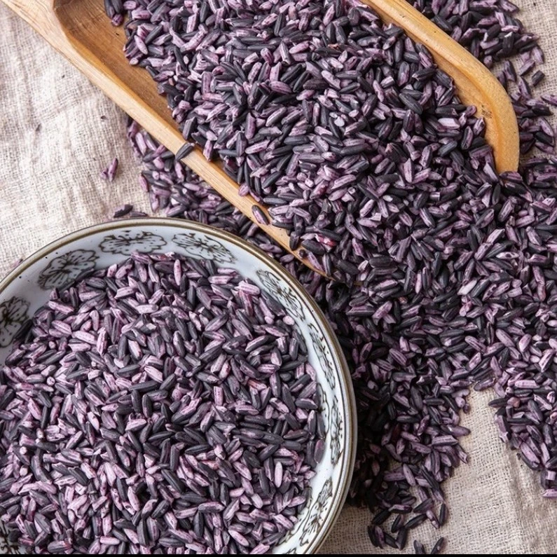 【小丸子】血糯米  煮粥甜汤包粽子饭团 1000g