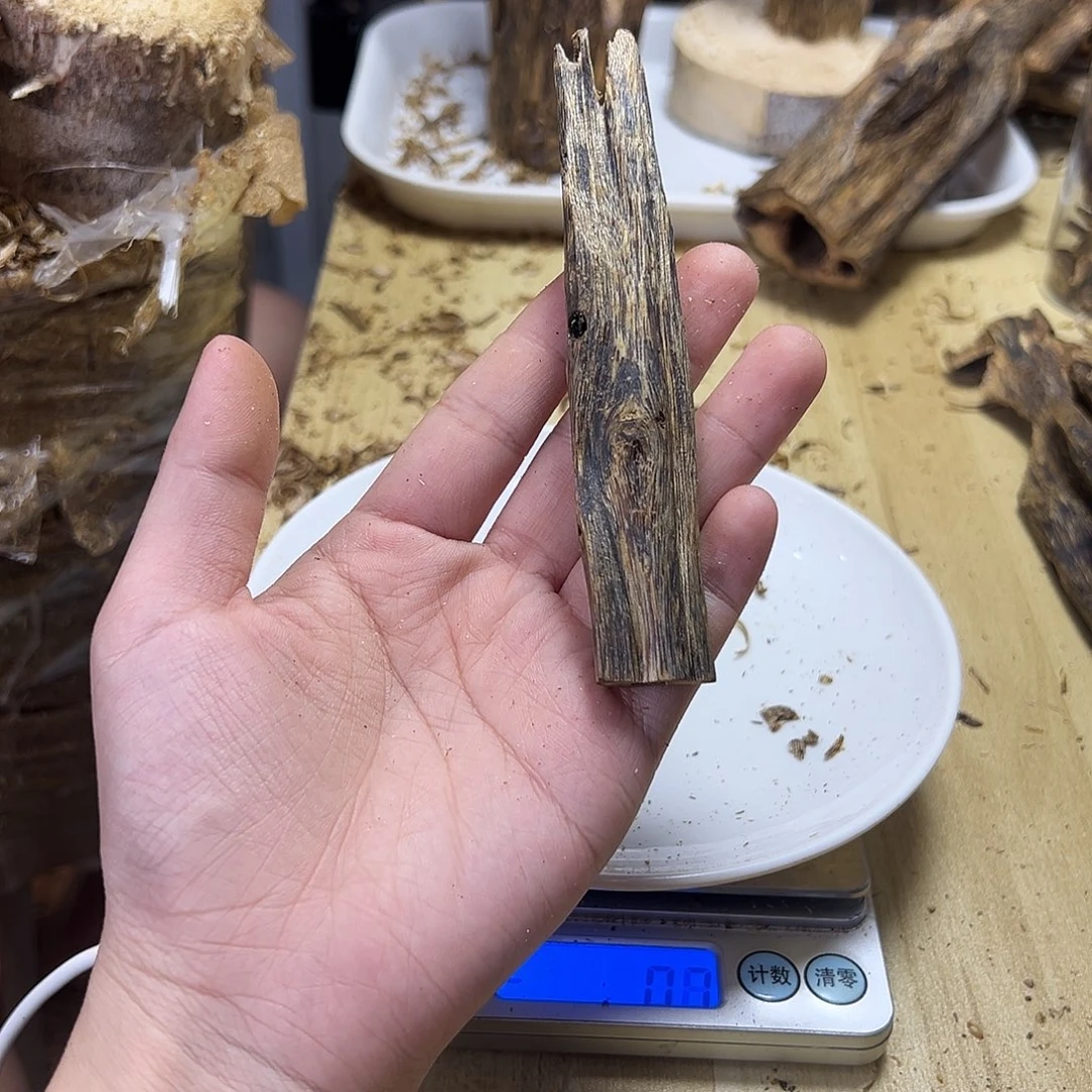 木绿奇楠虫漏10克