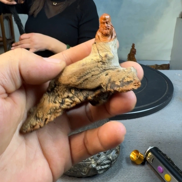 柏木（崖柏）太行崖柏