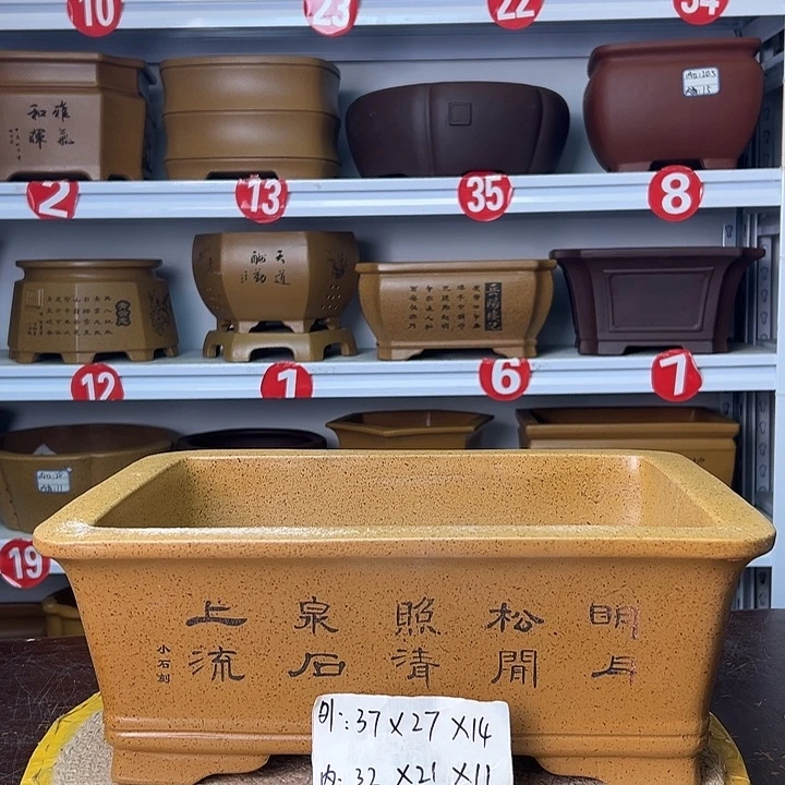 紫砂花盆你在一起