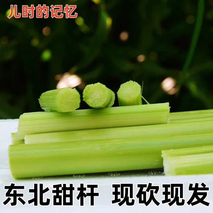 东北特产甜杆甜芦粟儿时回忆新鲜时令水果黑龙江小甘蔗现砍现发