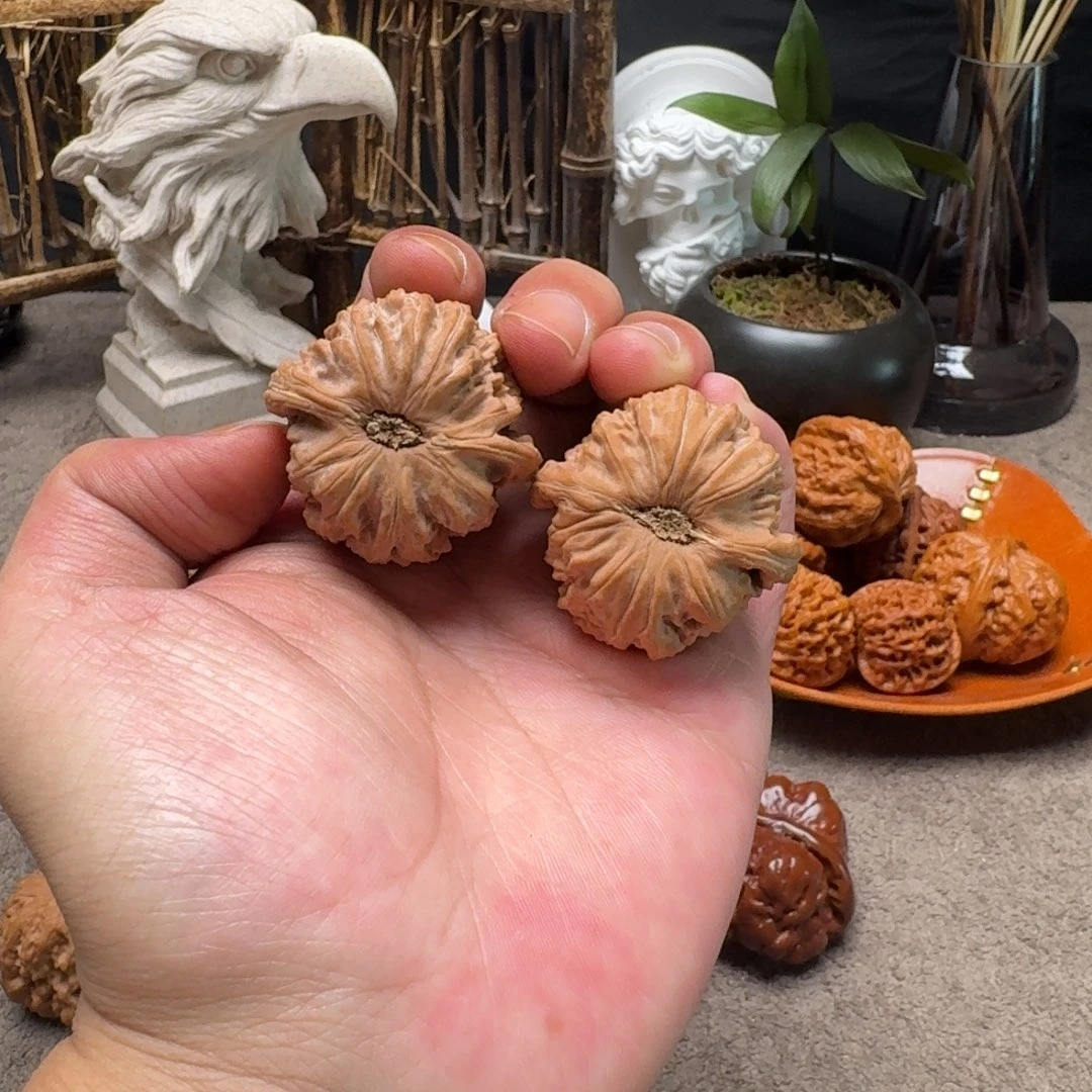 手串/手链核桃40全品卡芝兰球白