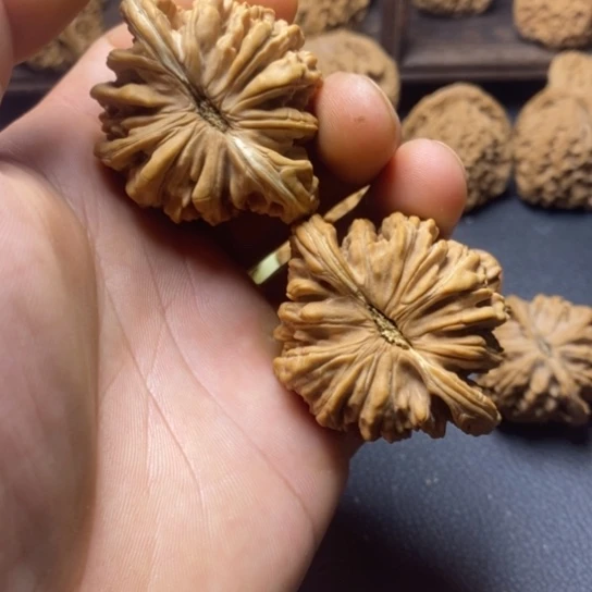 文玩核桃全品楼子48