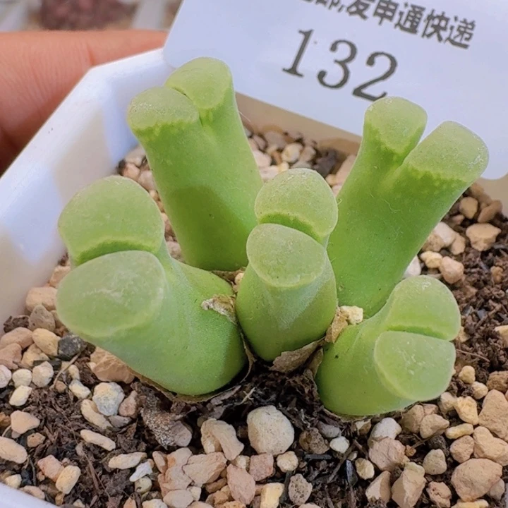 132。