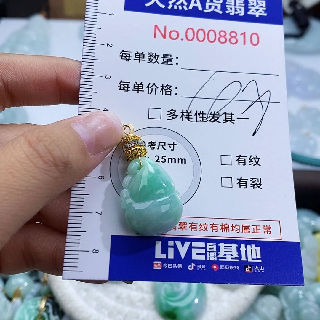翡翠未镶嵌颈饰8810