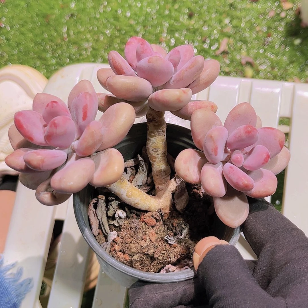 51号8998989889999889999