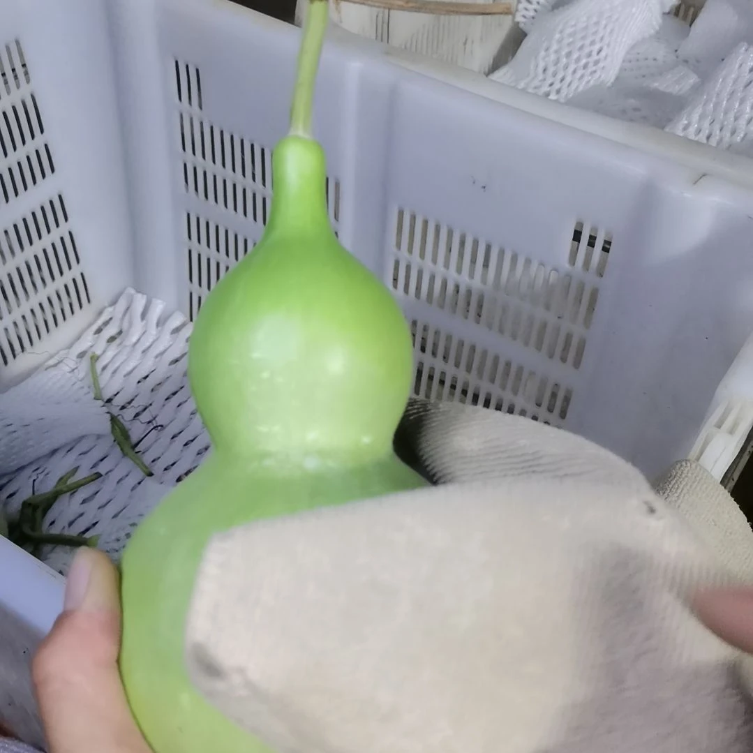 记***l木葫芦摆件家庭摆件