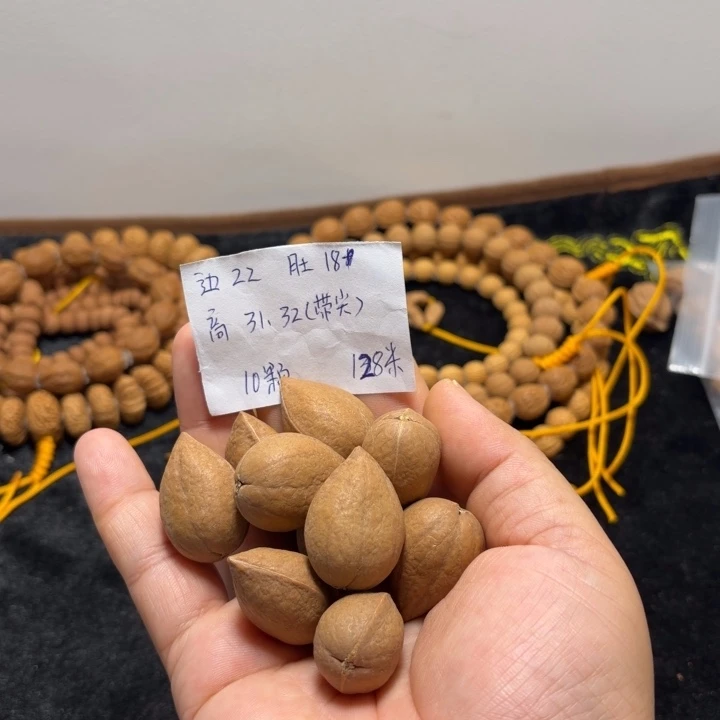 文玩核桃手串姬宝单圈9+1