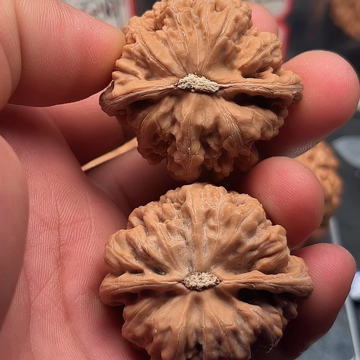 文玩核桃把件粗筋43