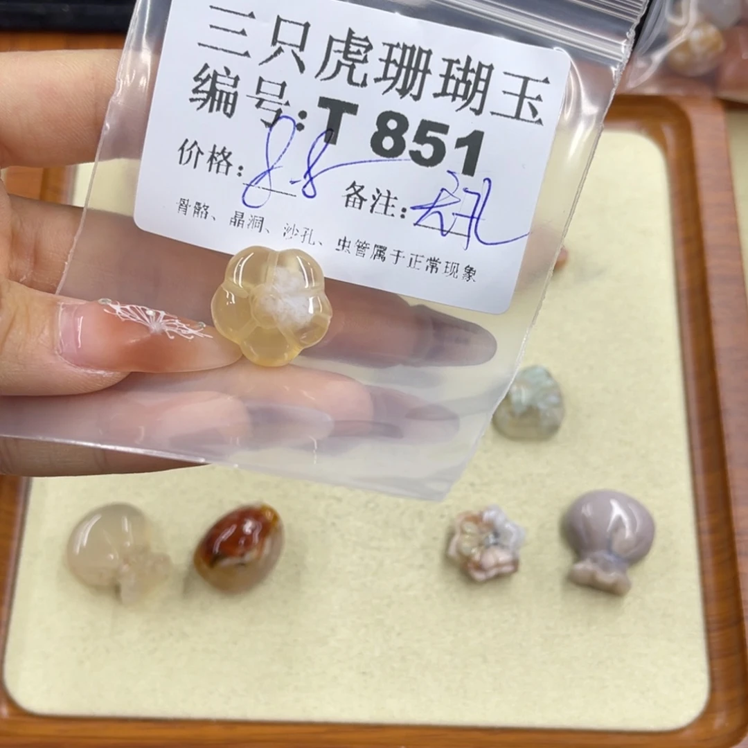 奥****硅化珊瑚（珊瑚玉）h未镶嵌