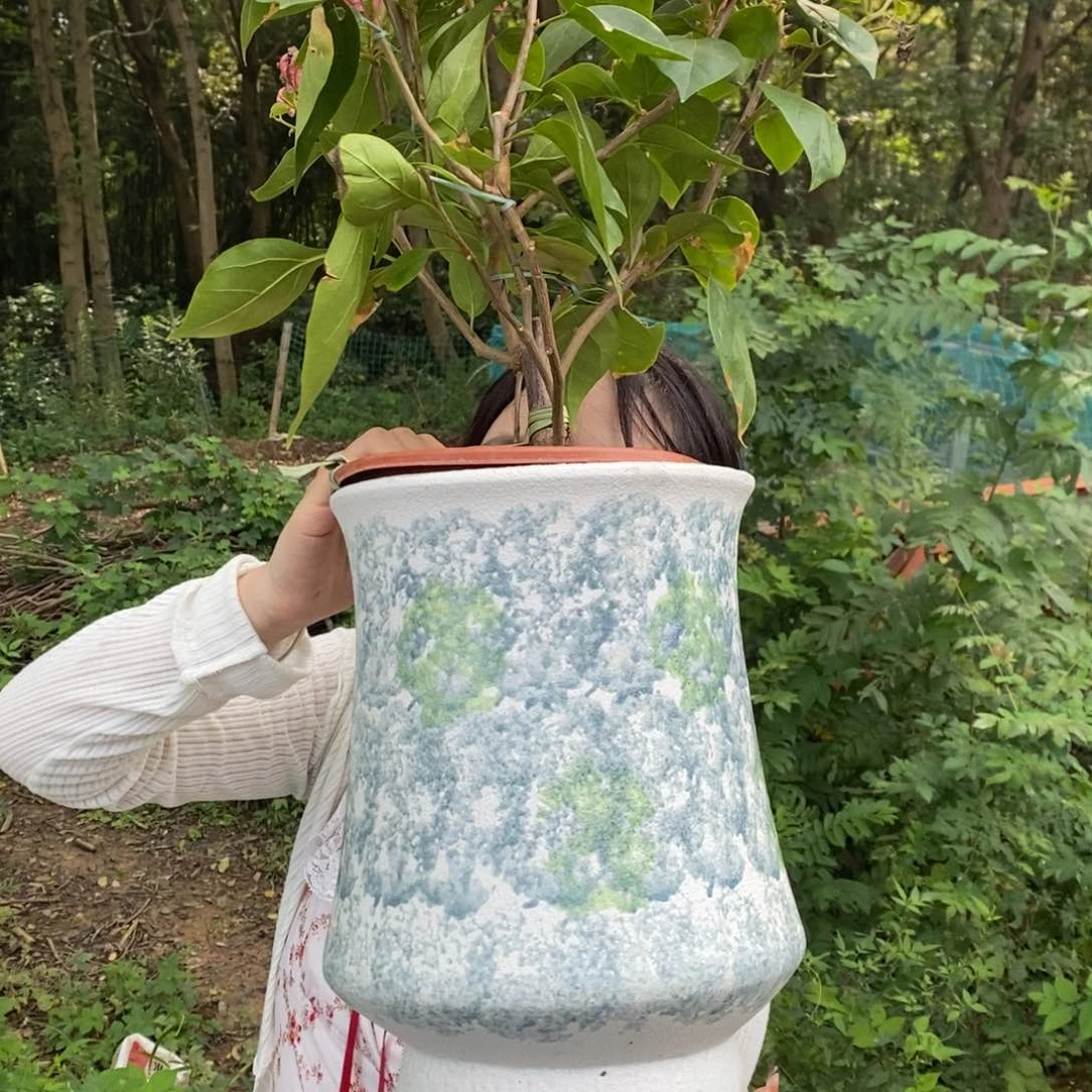 紫砂花盆正品20/30