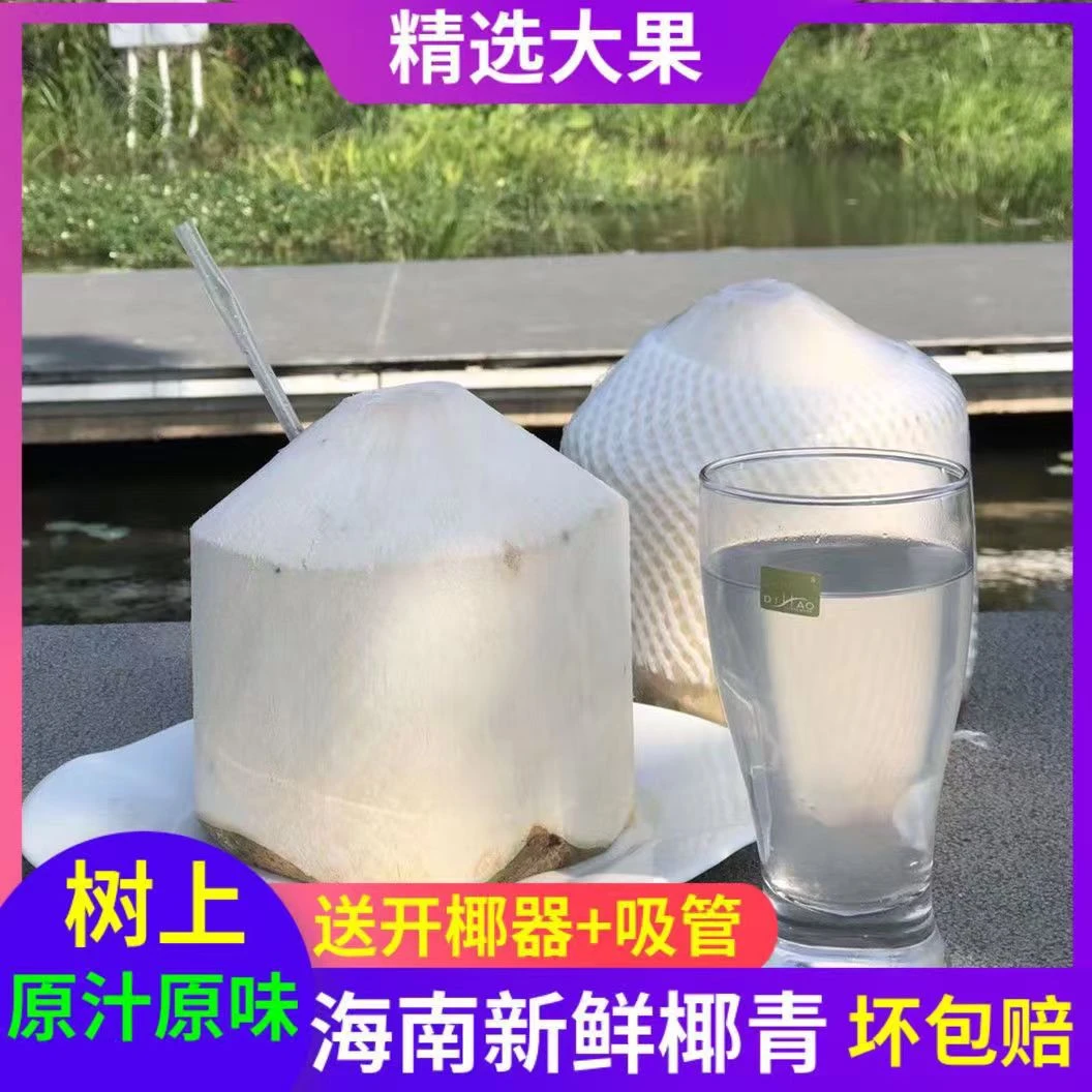 海南野生新鲜椰青孕妇水果精选大果9个装口感原汁原味酸甜可口
