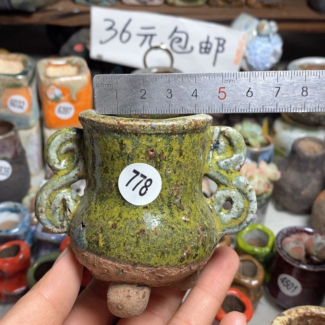 花盆拍3送个9·9的盆，拍5送同款