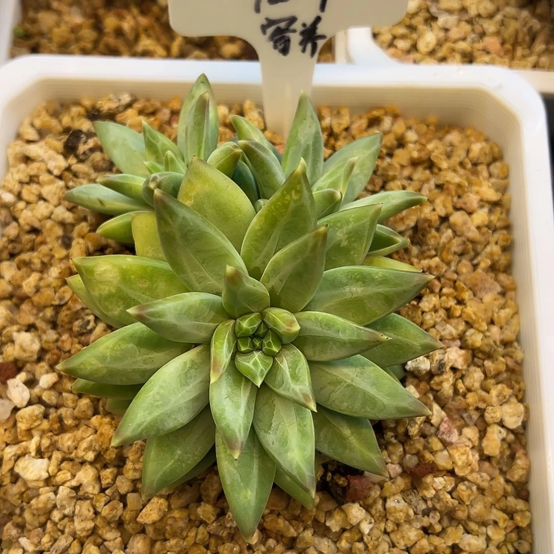 用****110¥）h h j j n j n h