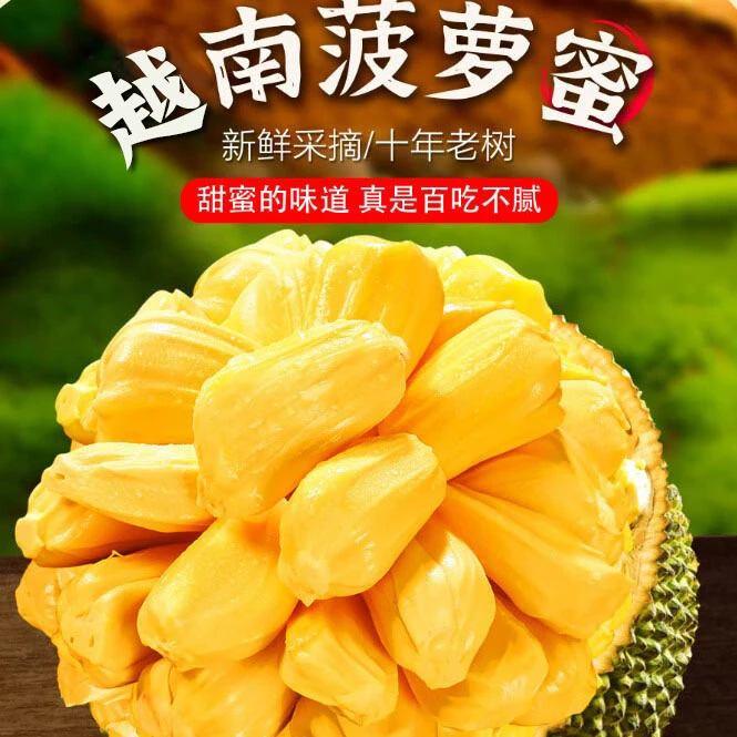 【乌市发货】黄肉菠萝蜜一整个新鲜水果时令当季黄肉波罗密顺丰包邮