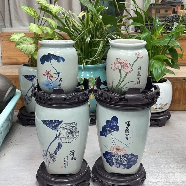 陶瓷花盆抢购精美福利