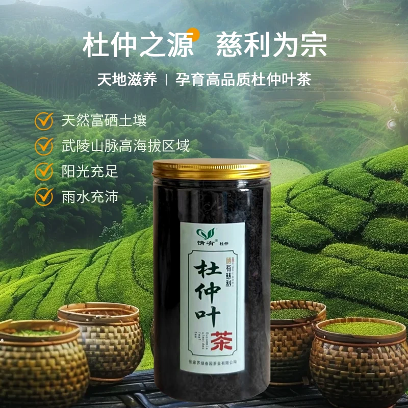 情有杜仲茶张家界慈利高山老树嫩叶富硒绿原酸养生茶2025杜仲叶茶