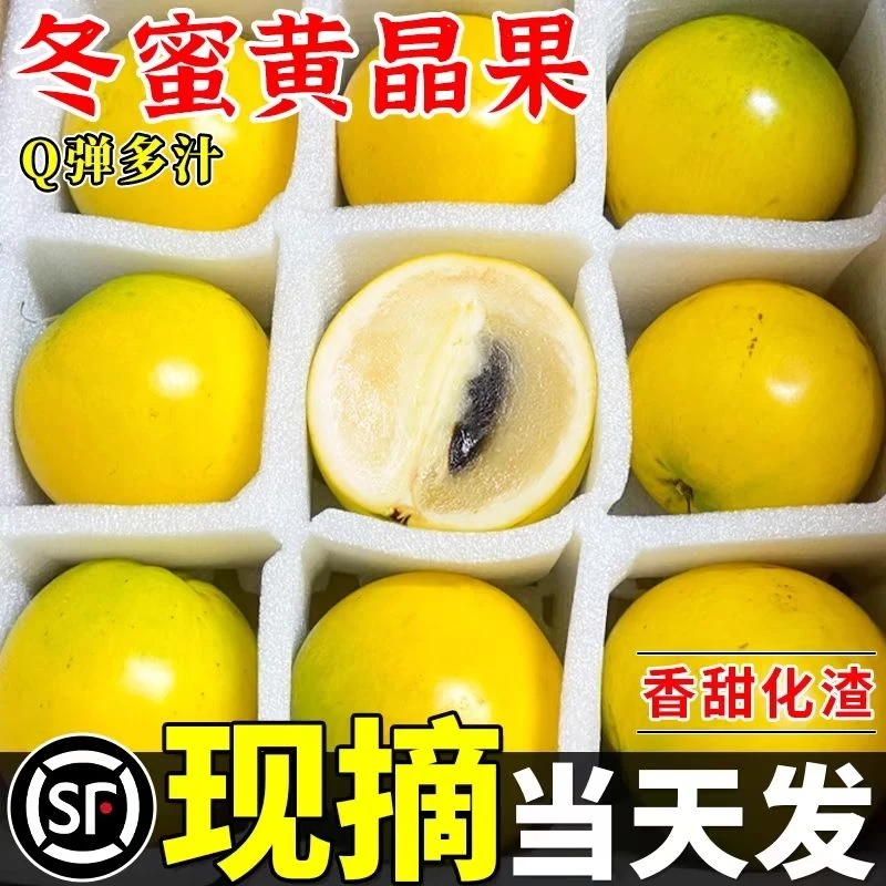 顺丰包邮 精选冬蜜黄晶果 新鲜当季热带水果大果冬蜜鲜果香甜多汁