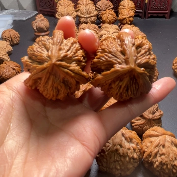 虎头三棱40尺寸核桃哈哈哈哈哈哈哈