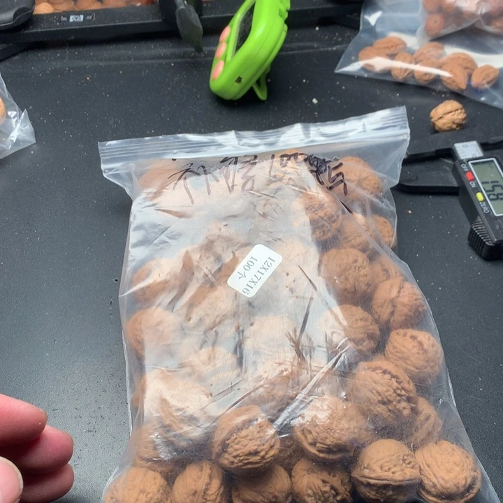 文玩核桃吊坠慢*野生精品小核桃散籽