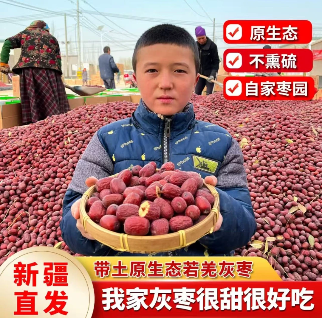 【新疆果园直发】新疆若羌灰枣带土红枣树上自然吊干