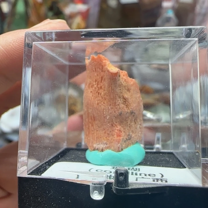 晨***～未镶嵌摆件水晶c861