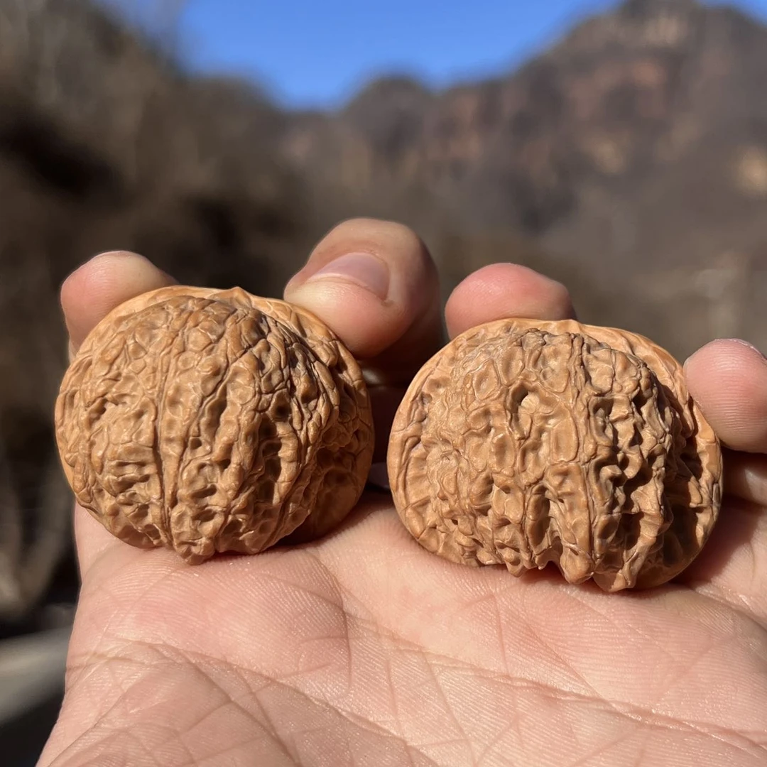 【阿钰推荐】LY28743-核桃血麒麟-尺寸40+mm-40+mm