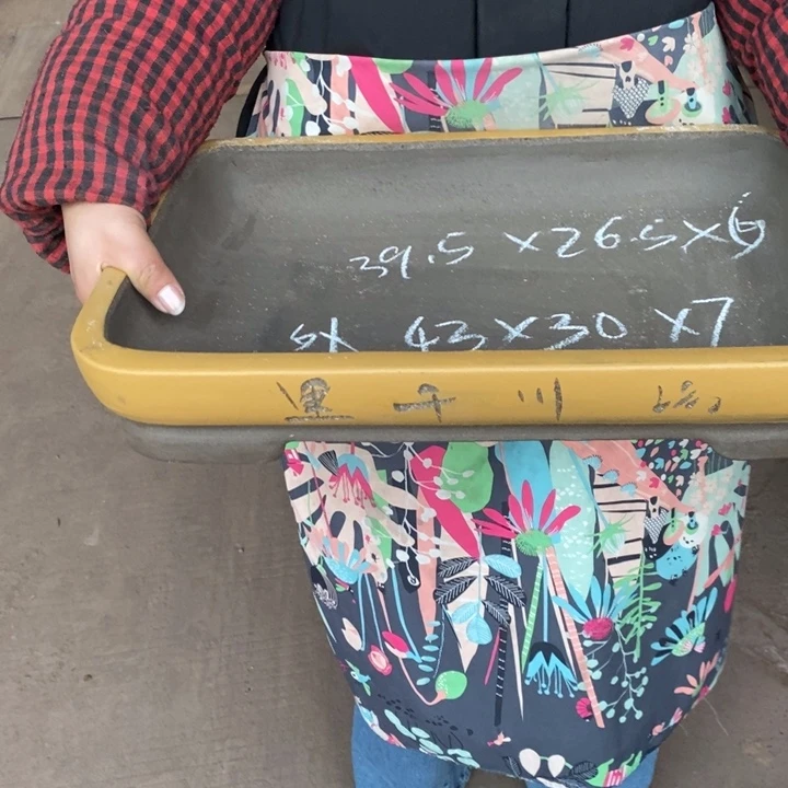 花盆紫砂只顾看手机