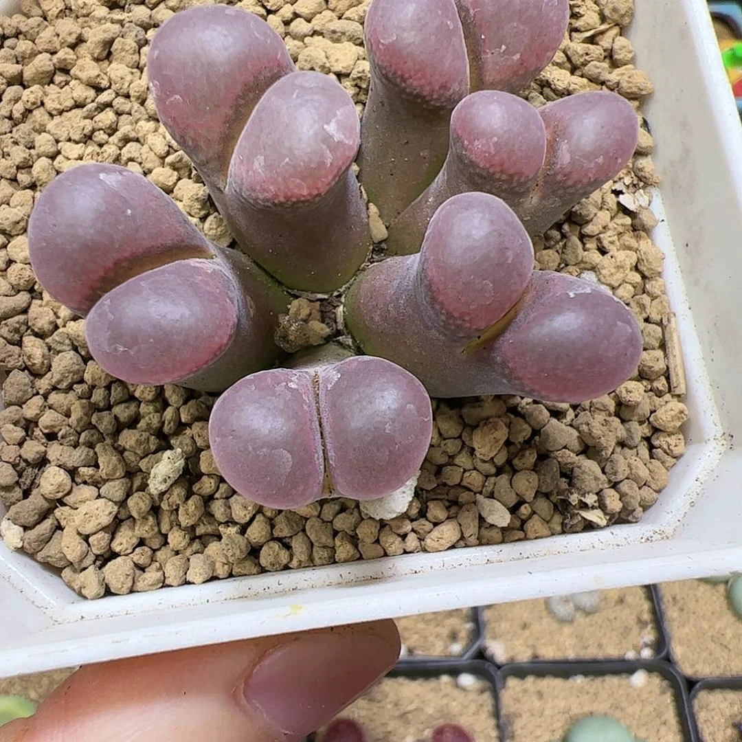 【闪购商品】178 捡漏价