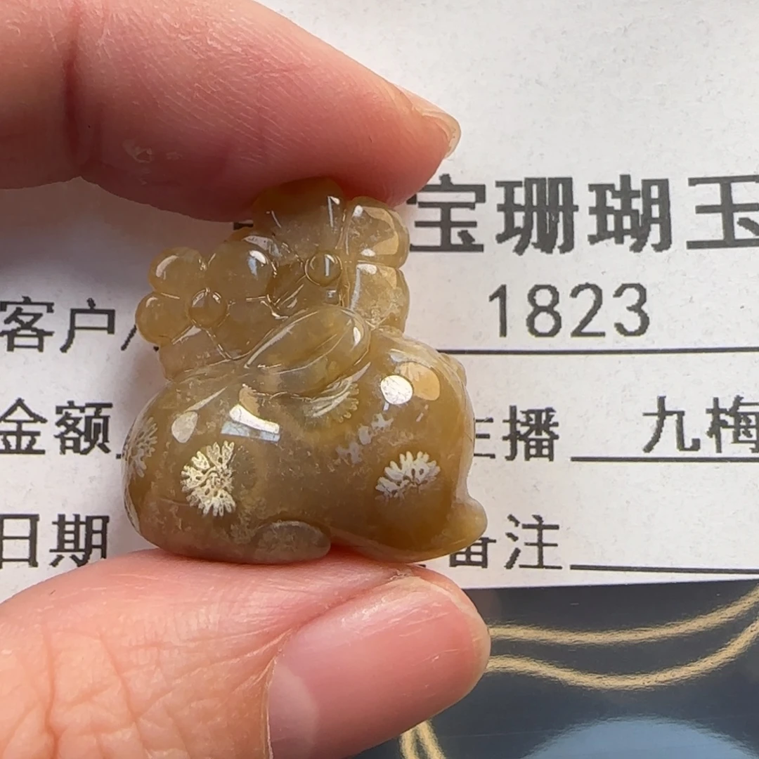 硅化珊瑚（珊瑚玉）未镶嵌颈饰
