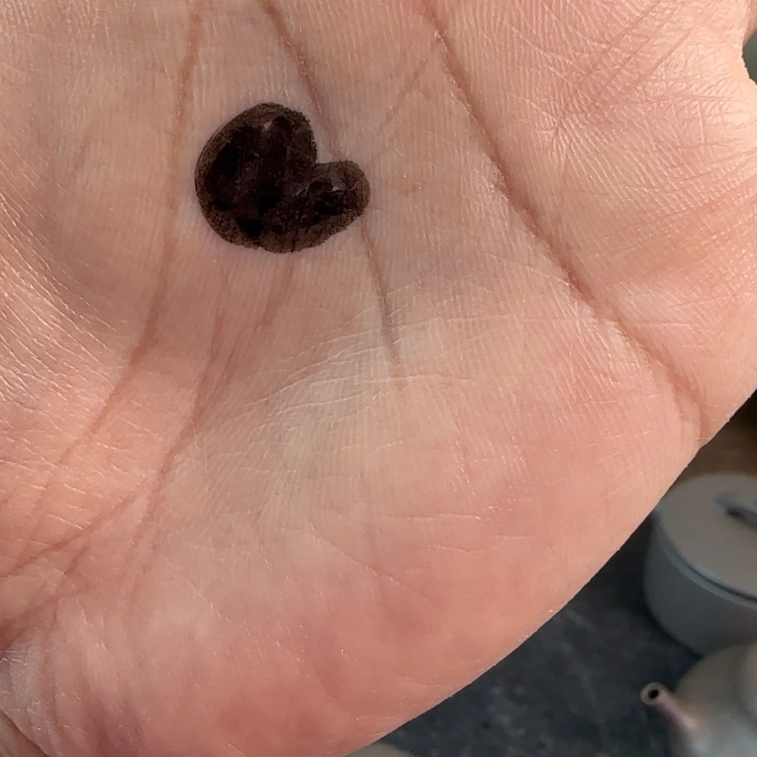 紫砂茶壶在****你1111111111